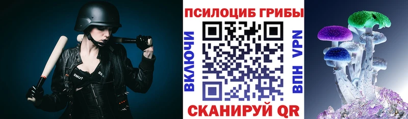 купить   Александров  Галлюциногенные грибы Cubensis 