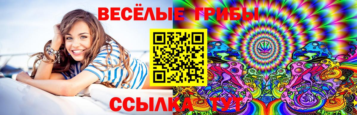 Псилоцибиновые грибы Psilocybe  Вход с VPN  цена наркотик  Александров 
